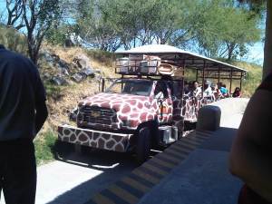 IMG09789-20130329-1105