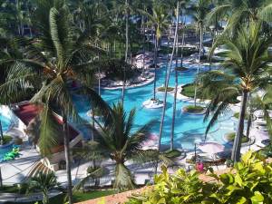 IMG10663-20130424-0956