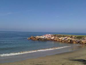 IMG10680-20130424-1110