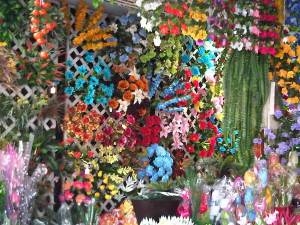 IMG03638-20111029-1607