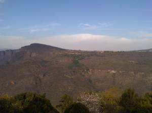 IMG07339-20121227-1551