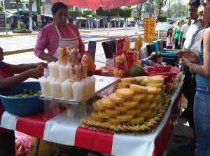 IMG08787-20130224-1105