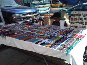 IMG08789-20130224-1107