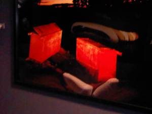 IMG01411-20110428-1446