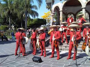 IMG04843-20120115-1350