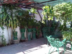 Patio off the bedroom 2