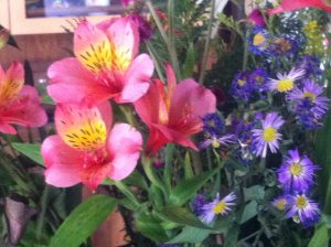 10300686_10152103055384205_5818884819949771283_n