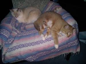 IMG06619-20120518-2125