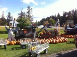 Smallwoods Harvest, Peshastin,&nbsp;Washington