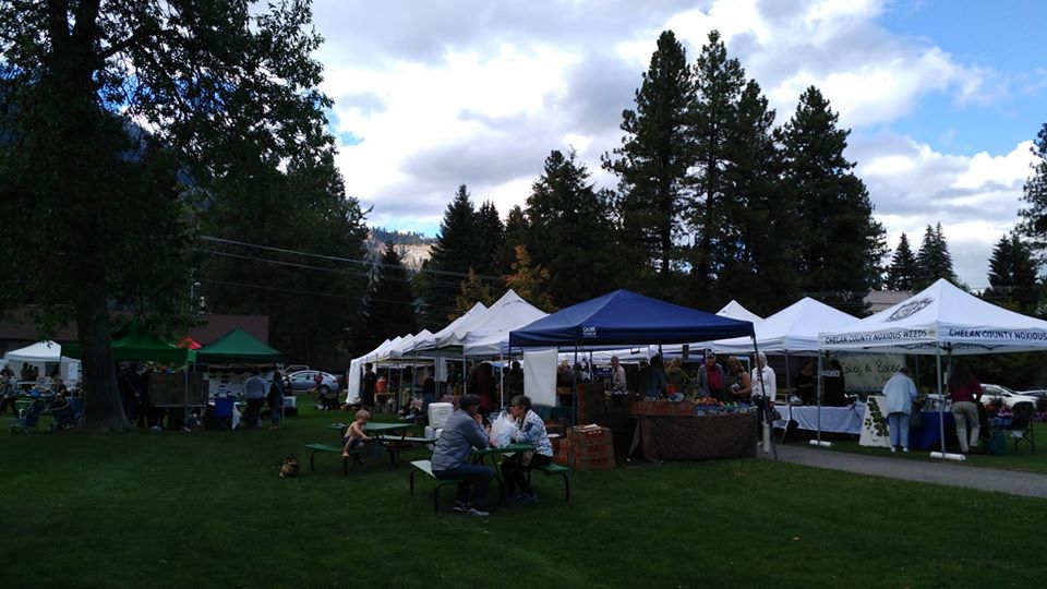 41647137_10155961871644205_2773263501173456896_n