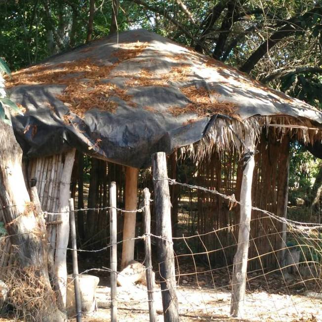 49210861_10156218044779205_4547108457827794944_n