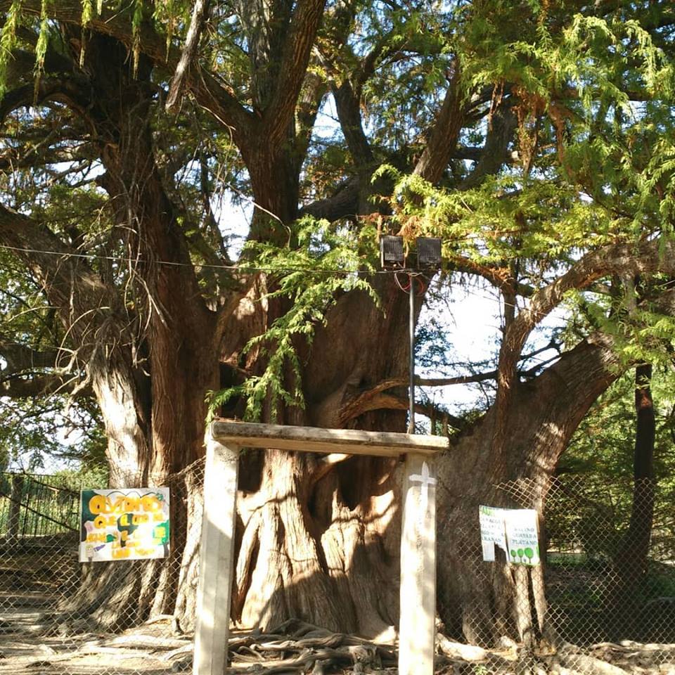 49587745_10156218044679205_5923994098691211264_n