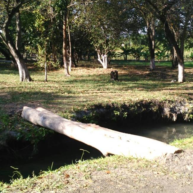 49644342_10156218044854205_1141749001884794880_n