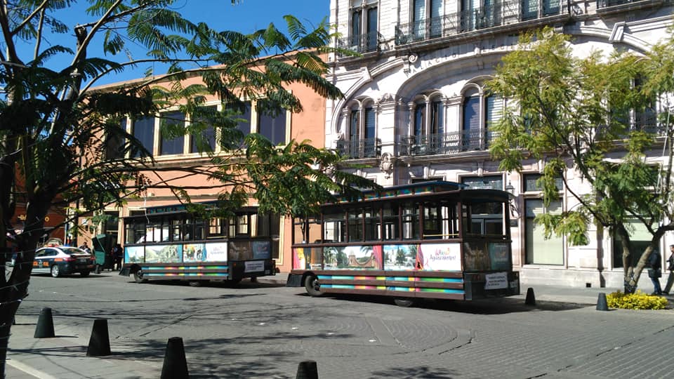 50281025_10156255561734205_5721965107739623424_n