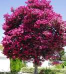 What About Your Other&nbsp;Health?